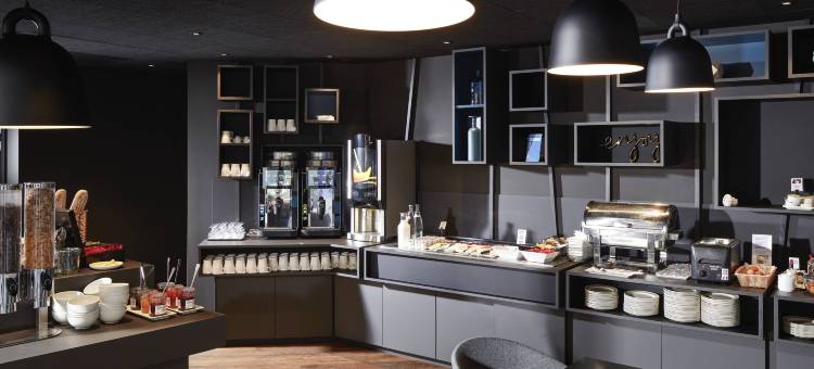 科尔玛中心诺富特全套房酒店(Novotel Suites Colmar Centre)图片