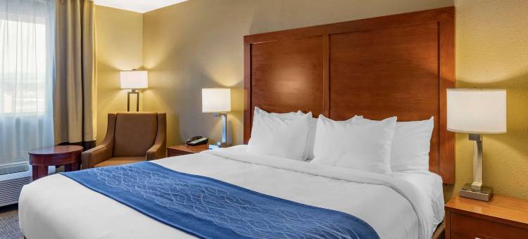 舒适酒店-罗斯堡(Comfort Inn Roseburg)图片