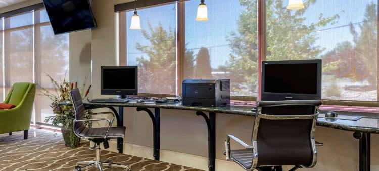 舒适套房酒店-弗恩利(Comfort Suites Fernley)图片