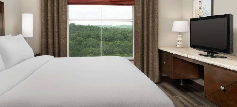 伯明翰胡佛希尔顿安泊酒店(Embassy Suites by Hilton Birmingham Hoover)图片