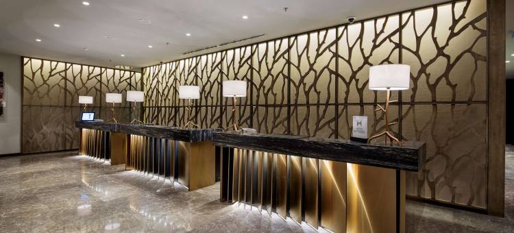 安卡拉希尔顿酒店(Ankara Hilton)图片