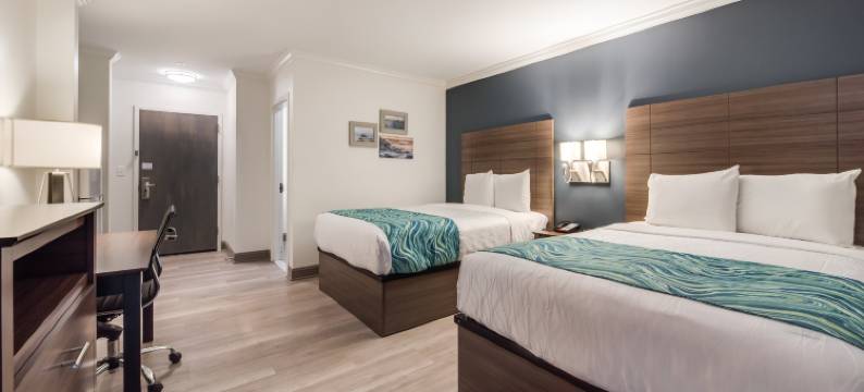 勒沃亚热尔汽车旅馆(Le Voyageur)图片