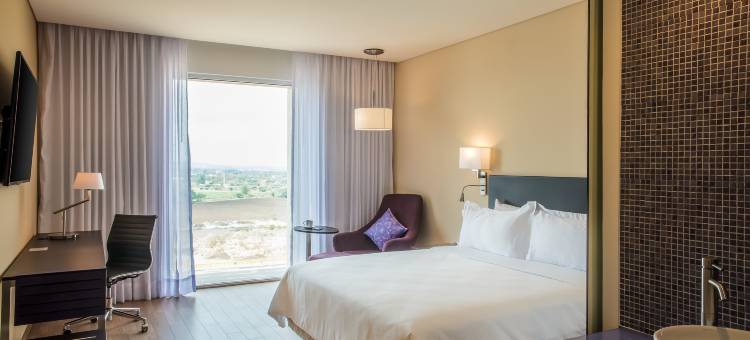 锡劳内陆港嘉年华酒店(Fiesta Inn Silao Puerto Interior)图片