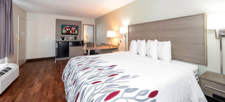 彼特斯堡-李堡红顶酒店(Red Roof Inn Petersburg - Fort Lee)图片