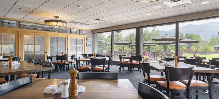 Holiday Inn 斯廷博特斯普林斯(Holiday Inn Steamboat Springs)图片