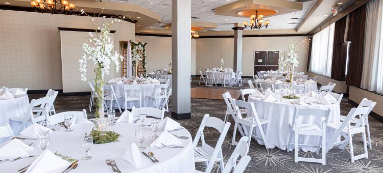 Holiday Inn 机场西地球城(Holiday Inn ST. LOUIS ARPT WEST-EARTH CITY by IHG)图片