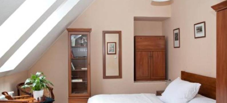 泽拉特霍拉瓦酒店(Hotel U Zlatého Lva)图片