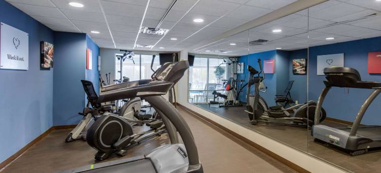 锡福德舒适全套房酒店(Comfort Suites)图片