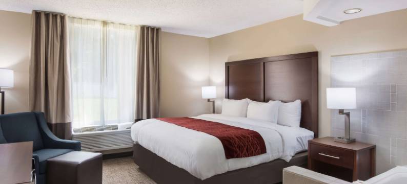 舒适酒店(Comfort Inn)图片