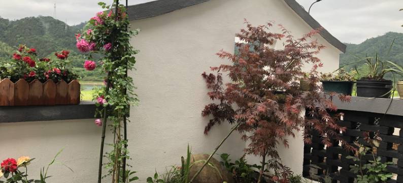 仙根农庄(新淳线分店)图片