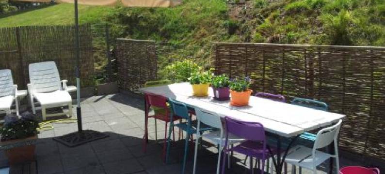 兰花住宿加早餐旅馆(Orchidee Altenau)图片