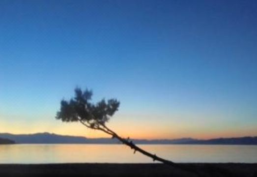 Malindi Rooms Hotel Overview