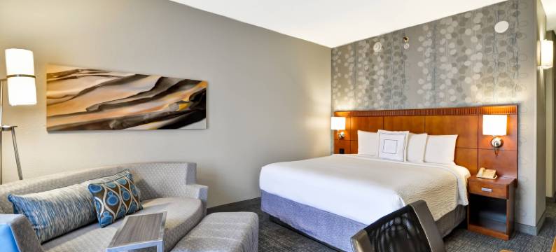 达拉斯医学/市场中心万怡酒店(Courtyard Dallas Medical/Market Center)图片