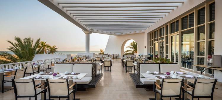 吉尔巴岛丽笙皇宫海水浴度假村(Radisson Blu Palace Resort and Thalasso)图片