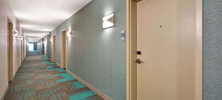 希尔顿旗下Home2 Suites-购物中心(Home2 Suites by Hilton Houston Near the Galleria)图片