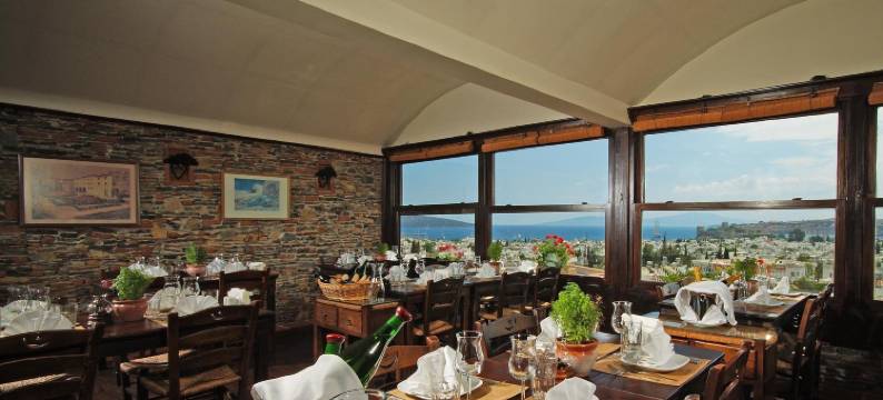 艾维诺酒店(El Vino Hotel & Suites)图片