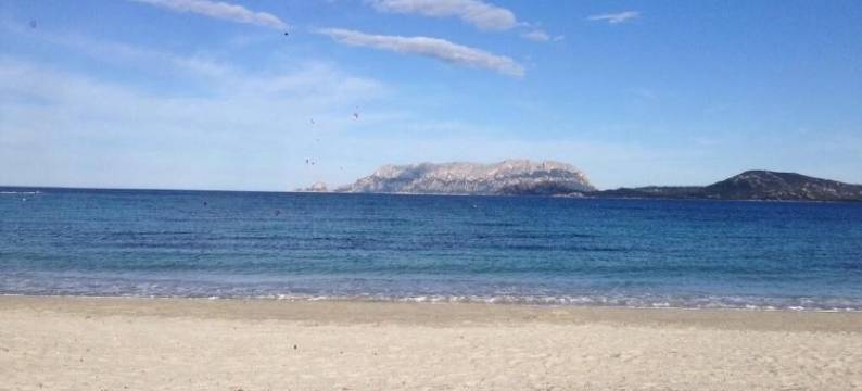 黛安娜之家住宿加早餐酒店(Domus de Diana)图片