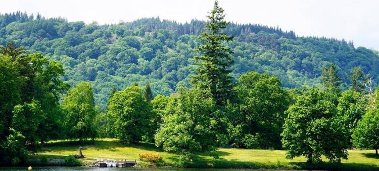 米尔伍德乡村别墅酒店(Merewood Country House Hotel)图片