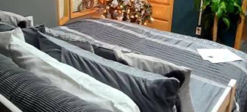 The Bogi Bear Inn图片