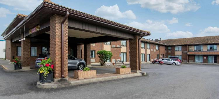 舒适酒店(Comfort Inn)图片