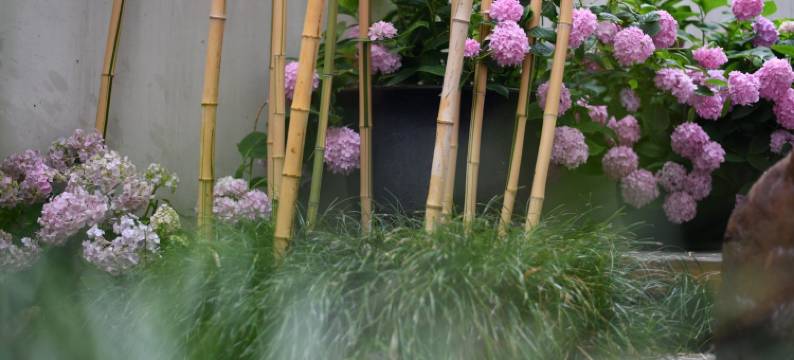 扬州六一居别墅图片