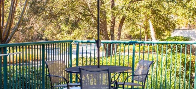 芒特普林森查尔斯顿舒眠酒店(Sleep Inn Mt. Pleasant - Charleston)图片