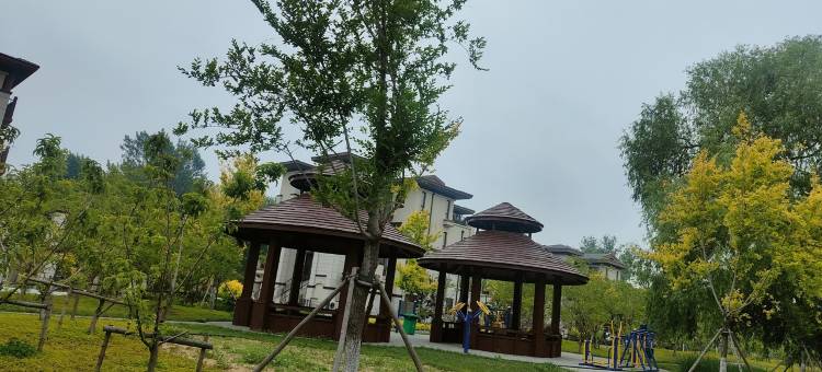 黄金海岸别墅汤泉首领云海苑民宿(四纬路分店)图片