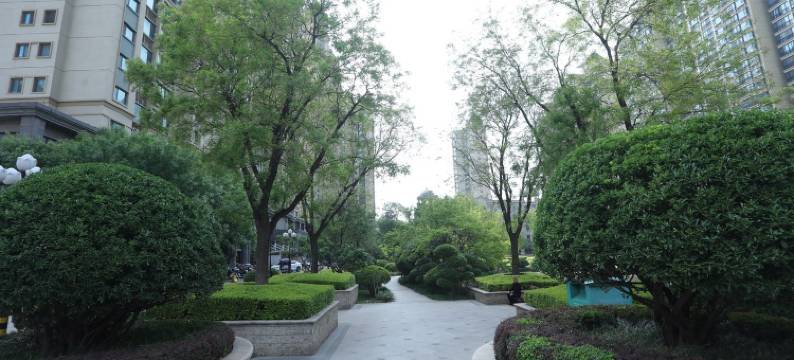 山东泰安1002公寓(万官大街分店)图片