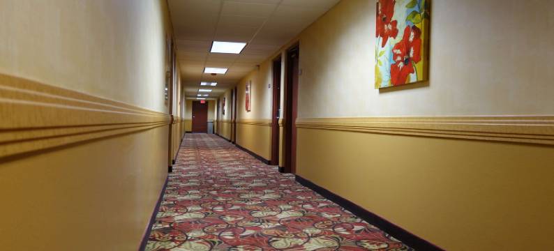 萨克拉门托华美达酒店(Ramada by Wyndham Sacramento)图片