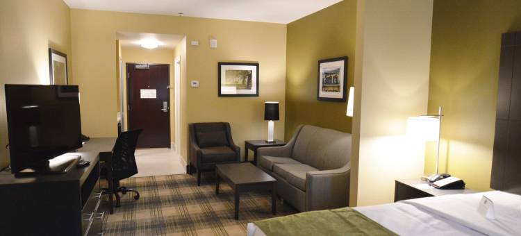 纽奥良机场贝斯特韦斯特优质酒店(Best Western Plus New Orleans Airport Hotel)图片