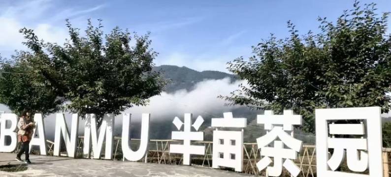 半亩茶园民宿(紫燎路分店)图片