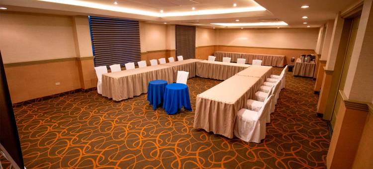 会展中心阿莱扎帕尔米拉酒店(Araiza Palmira Hotel y Centro de Convenciones)图片