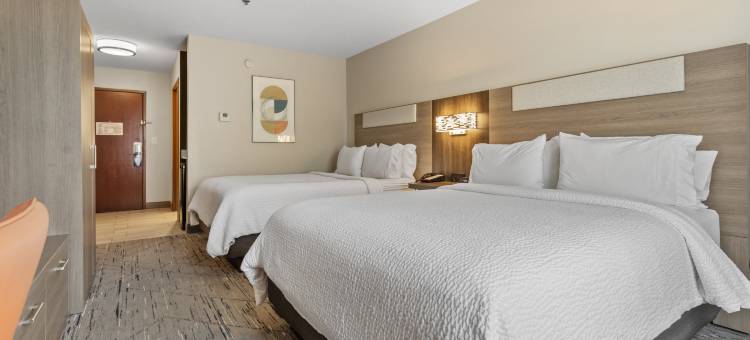 智选假日套房酒店斯塔克维尔(Holiday Inn Express & Suites Starkville)图片