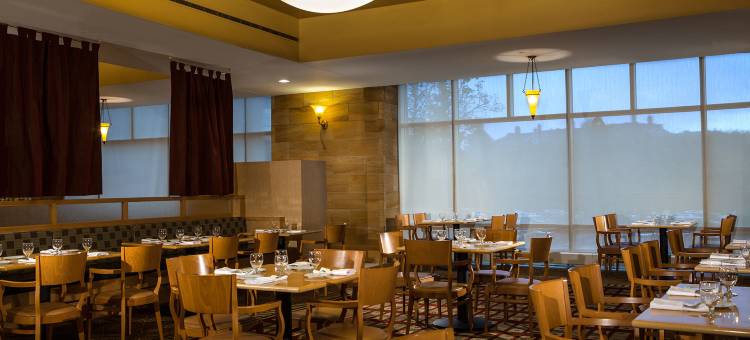 希尔顿辛辛那提毕业酒店(Graduate by Hilton Cincinnati)图片