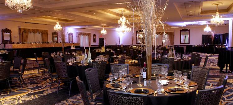 丽笙酒店和会议中心-罗克福德(Radisson Hotel & Conference Center Rockford)图片