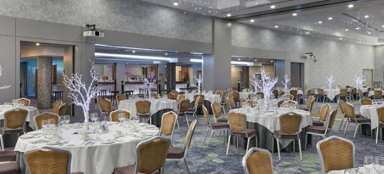 都柏林布兰察斯镇皇冠假日酒店(Crowne Plaza Dublin - Blanchardstown)图片