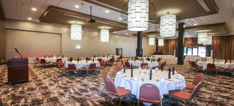 Holiday Inn 罗阿诺克 - 望谷(Holiday Inn Roanoke Airport-Conference Ctr)图片