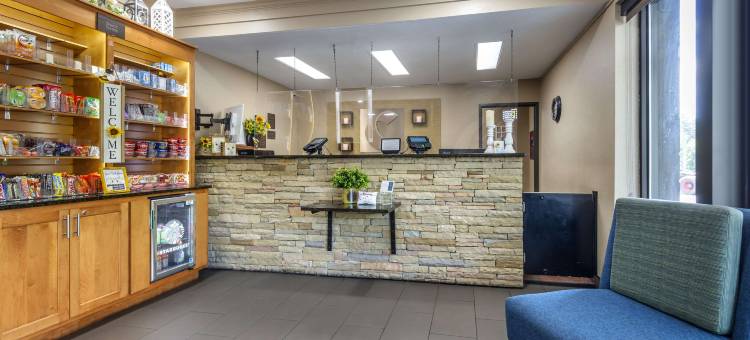 阿什维尔东-蓝岭山行车通道舒适酒店(Comfort Inn Asheville East-Blue Ridge Pkwy Access)图片