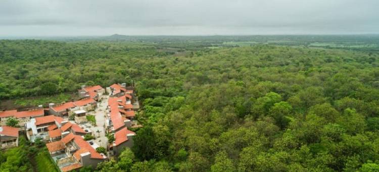 Aramness Gir国家公园(Aramness Gir National Park)图片