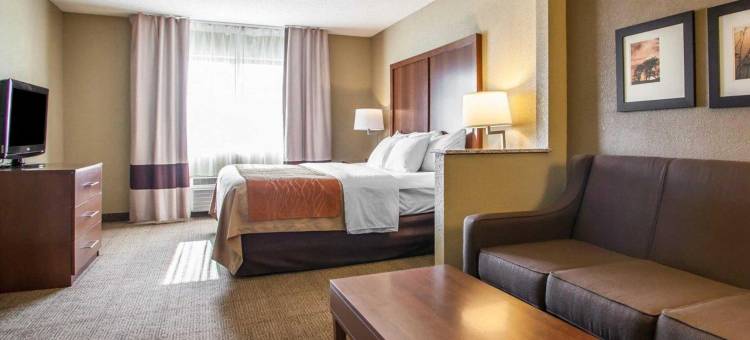 莫林-阔德城舒适酒店(Comfort Inn Moline - Quad Cities)图片