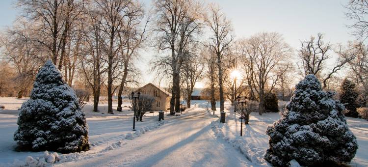 罗纳姆斯赫尔加德酒店-普罗菲尔酒店(Ronnums Herrgård)图片