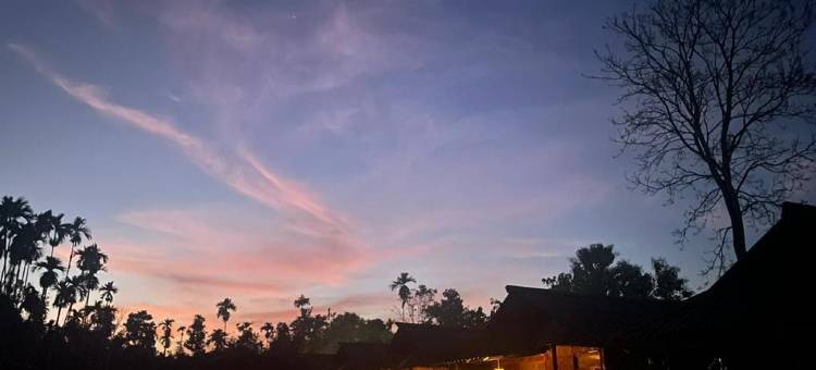 习性自然狩猎犀牛(Habitas Rhino by Nature Hunt)图片