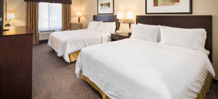 拉什莫尔山希尔城温德姆阿美瑞辛酒店(AmericInn by Wyndham Hill City Mt Rushmore)图片