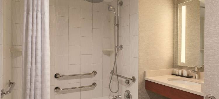 奥兰多国际大道地标公园希尔顿安泊酒店(Embassy Suites by Hilton Orlando International Drive ICON Park)图片