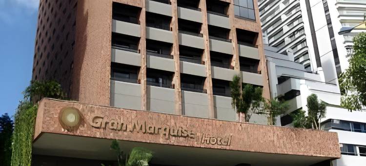 格兰马奎斯酒店(Hotel Gran Marquise)图片