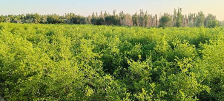 小暖轻奢民宿图片