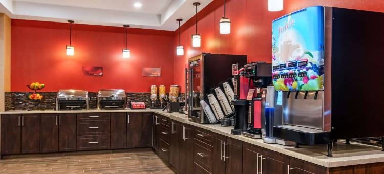 金德斯利贝斯特韦斯特优质酒店(Best Western Plus Kindersley Hotel)图片