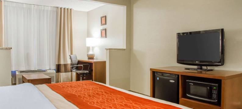 舒适酒店(Comfort Inn)图片