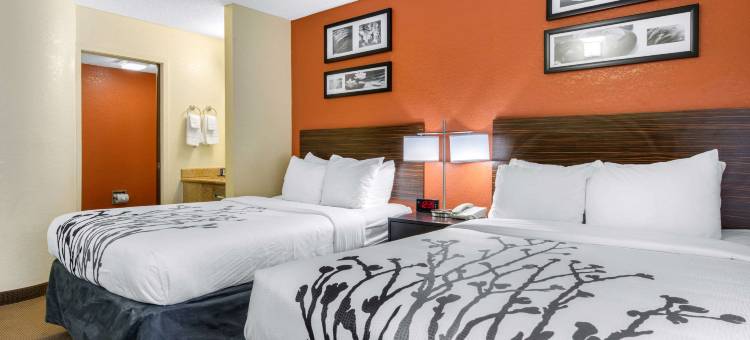 萨拉索塔北舒眠酒店(Sleep Inn Sarasota North)图片