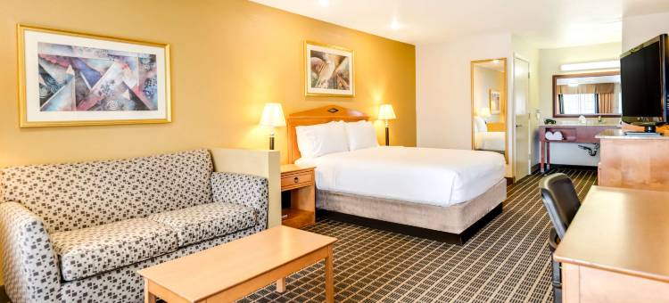 圣何塞中心城贝斯特韦斯特苏尔住宿普拉斯酒店(SureStayPlus Hotel by Best Western San Jose Central City)图片